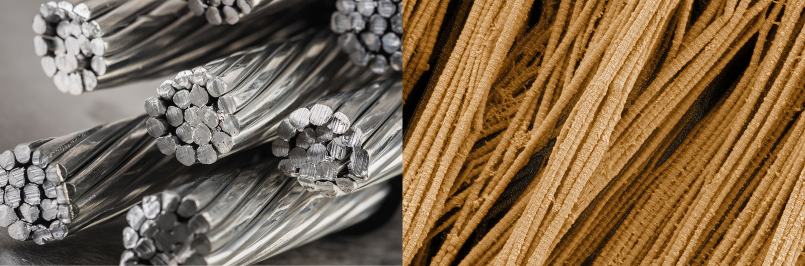 Steel cable and collagen compared side by side